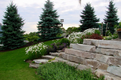 68810AE5-E94D-4D54-A019-C193ED8F2723_1_201_a-Ghazey-Aleck